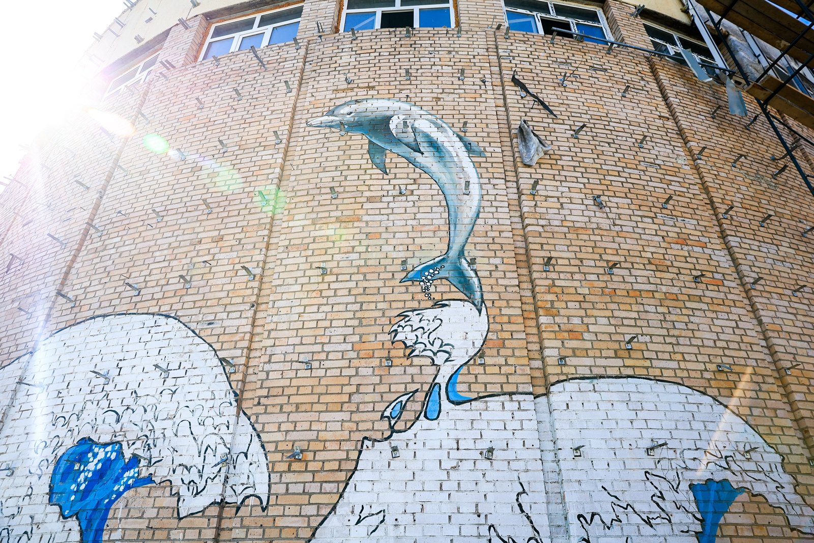 Владивостокский океанариум раскрывает секреты граффити для центра 'Россия'-0