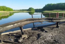 Александр Хинштейн сообщил о восстановлении моста в Рыльском районе Курской области aleksandr hinshtejn soobshhil o vosstanovlenii mosta v rylskom rajone kurskoj oblasti-todey-ru-174790197200-0