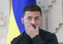 Артем Дмитрук назвал условие мира перед диалогом Путина и Трампа artem dmitruk nazval uslovie mira pered dialogom putina i trampa-todey-ru-174766783400-0