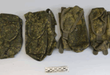 Центральная оперативная и почтовая таможня ФТС России предотвратили контрабанду в Китай czentralnaya operativnaya i pochtovaya tamozhnya fts rossii predotvratili kontrabandu v kitaj-todey-ru-174652304300-0