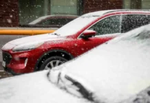 Департамент транспорта Москвы и ГУ МЧС по Москве предупреждают о заморозках 12 мая departament transporta moskvy i gu mchs po moskve preduprezhdayut o zamorozkah 12 maya-todey-ru-174697814400-0