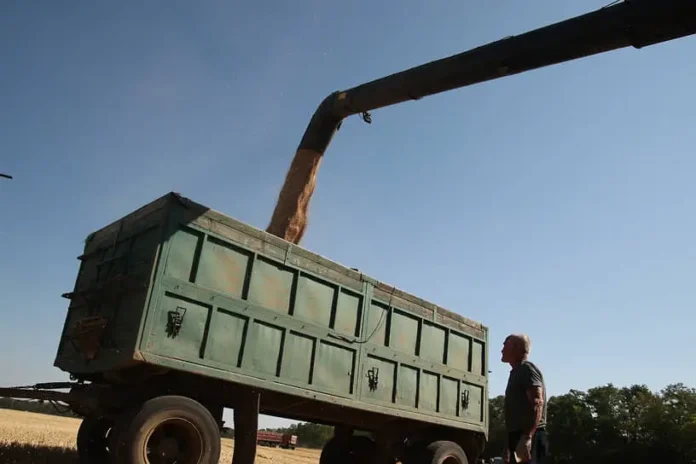 dmitrij patrushev soobshhil o roste zernovogo eksporta rossii k 2025 godu-todey-ru-174860356900-0