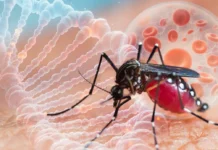 Эксперт из НИЦ Гамалеи дает советы по лихорадке чикунгунья в РФ и Крыму ekspert iz nicz gamalei daet sovety po lihoradke chikungunya v rf i krymu-todey-ru-174852595800-0