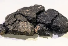 eskishehir predstavlyaet 5000letnij hleb ot daryashhij vkus istorii-todey-ru-174835464400-0