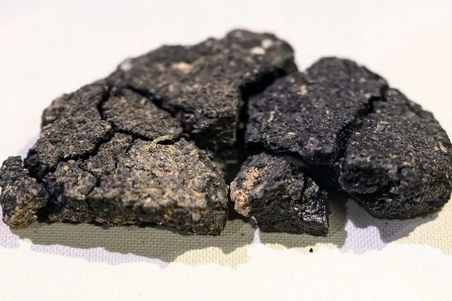 Эскишехир представляет 5000-летний хлеб от Halk Ekmek, дарящий вкус истории-0