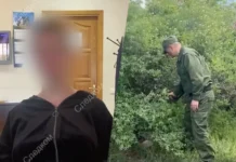 eva merkacheva iz spch o borbe s fanatami pichushkina i bezopasnosti-todey-ru-174767481000-0