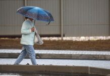 fobos obeshhaet skoroe vozvrashhenie tepla v moskve etoj vesnoj-todey-ru-174642763200-0