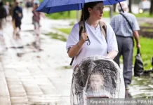 ФССП и Минюст запускают реестр алиментщиков для поддержки семей fssp i minyust zapuskayut reestr alimentshhikov dlya podderzhki semej-todey-ru-174783293900-0