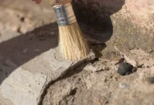 Харольд Ингольт и Жорж Муамар раскрывают тайны Хамы и Теночтитлана harold ingolt i zhorzh muamar raskryvayut tajny hamy i tenochtitlana-todey-ru-174834756000-0