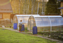 ilya rusyaev obyasnyaet kak dachnikam izbezhat sankczij rosreestra-todey-ru-174635371500-0