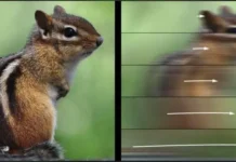 Мартин Рольфс рассказывает о саккадах и влиянии Берлинского технического университета на восприятие границ человеческого зрения martin rolfs rasskazyvaet o sakkadah i vliyanii berlinskogo tehnicheskogo universiteta na vospriyatie granicz chelovecheskogo zreniya-todey-ru-174709924000-0