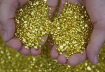 Мишель Дюпон из Франции обнаружил клад на миллиарды евро mishel dyupon iz franczii obnaruzhil klad na milliardy evro-todey-ru-174792119800-0