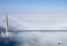 Мост Россия-КНДР через Туманную построят за 1,5 года при участии Путина most rossiyakndr cherez tumannuyu postroyat za 15 goda pri uchastii putina-todey-ru-174612497300-0