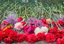 Наталья Андрейченко и Алексей Баталов рассказывают вдохновляющую историю natalya andrejchenko i aleksej batalov rasskazyvayut vdohnovlyayushhuyu istoriyu-todey-ru-174798943500-0