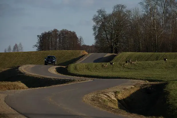 Вводная картинка