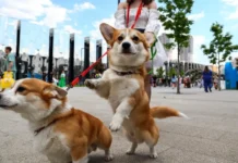 Прогноз погоды в Москве от Метео обещает солнечные дни и дожди prognoz pogody v moskve ot meteo obeshhaet solnechnye dni i dozhdi-todey-ru-174817341400-0