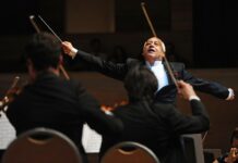 vladimir putin nagradil spivakova zvaniem geroya truda za vklad v iskusstvo-todey-ru-174609169400-0