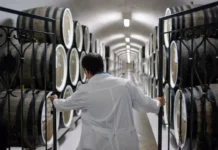 «Абрау-Дюрсо» и Павел Титов открывают новое будущее на борту China Eastern Airlines abraudyurso i pavel titov otkryvayut novoe budushhee na bortu -todey-ru-0