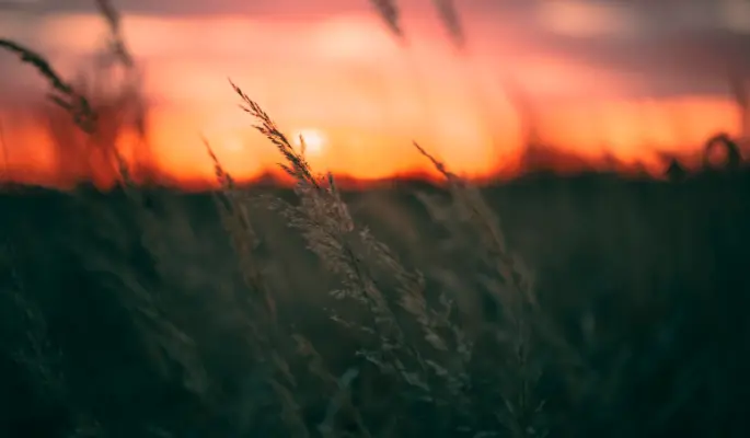 Нельзя делать это 7 июня, в Троицкую Родительскую субботу , чтобы не поссориться с близкими