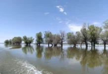 Екатерина Крастынь и Елена Асеева из МГУ раскрывают тайны Волги и Каспийского моря ekaterina krastyn i elena aseeva iz mgu raskryvayut tajny volgi i kaspijskogo morya-todey-ru-0