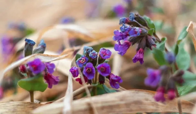 Как в парках столицы заботятся о сохранении биоразнообразия птиц и животных