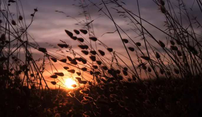 Что нельзя делать 22 июня, в Кириллов день, что не погубить планы на будущее