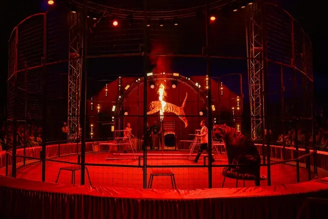 Цирковые шоу пройдут сразу на нескольких бесплатных площадках в Москве | Источник: Пресс-служба проекта «Лето в Москве»