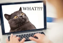 Дмитрий Джулай обсуждает новые инициативы Госдумы в борьбе с экстремизмом dmitrij dzhulaj obsuzhdaet novye inicziativy gosdumy v borbe s ekstremizmom-todey-ru-0