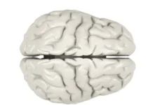 Ген Setd8 и открытия доктора Мацуда как ключ к омоложению мозга gen 8 i otkrytiya doktora maczuda kak klyuch k omolozheniyu mozga-todey-ru-0