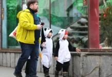 Геркулес спасает пуму и заботится о горной кошке в Московском зоопарке gerkules spasaet pumu i zabotitsya o gornoj koshke v moskovskom zooparke-todey-ru-0