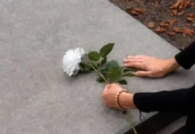 Ливио Маккиа и I Camaleonti оставили незабываемый след в Сан-Ремо livio makkia i ostavili nezabyvaemyj sled v sanremo-todey-ru-0