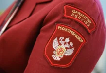 Роспотребнадзор озвучил мнение Кирилла Маслиева о рисках лихорадки чикунгунья в Китае rospotrebnadzor ozvuchil mnenie kirilla maslieva o riskah lihoradki chikungunya v kitae-todey-ru-0