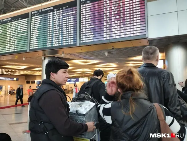 Тотальный контроль за мигрантами будет начинаться с момента въезда в Россию. Нарушителей режима будут депортировать | Источник: Михаил Контуев / MSK1.RU