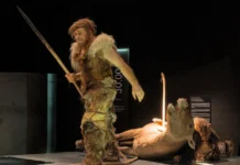 udivitelnye dannye o pitanii neandertalczev iz peshhery elsidron-todey-ru-0