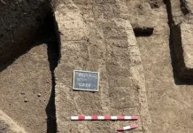 В Египте обнаружена сенсационная находка, подтвержденная Манчестерским университетом v egipte obnaruzhena sensaczionnaya nahodka podtverzhdennaya manchesterskim universitetom-todey-ru-0