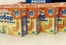 vladimir yakushev i edinaya rossiya vyrazhayut obespokoennost budushhim detej-todey-ru-0