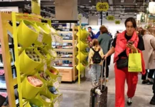 «Золотое яблоко», Иван Кузовлев и команда уверенно строят будущее zolotoe yabloko ivan kuzovlev i komanda uverenno stroyat budushhee-todey-ru-0