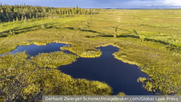 Финляндия и Польша решили восстановить болота в целях обороны