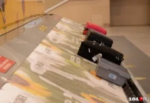 i vnukovo operativno reshayut situacziyu s bagazhom pri uchastii mintransa-todey-ru-0