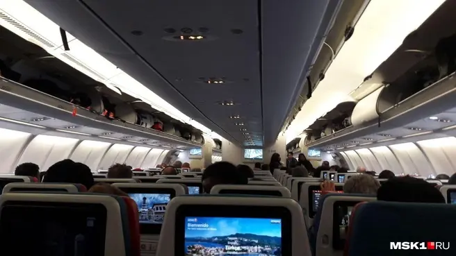 Пассажирам турецких авиакомпаний нужно сидеть на местах до тех пор, пока бортпроводники не скажут, что можно покидать самолет. Иначе — большой штраф | Источник: Анна Голубницкая / MSK1.RU