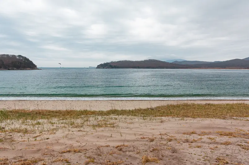 Фото: primamedia.ru