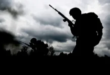 tigrenok stal geroem spasaya bojcza svo na peredovoj vo vremya obstrela-todey-ru-0