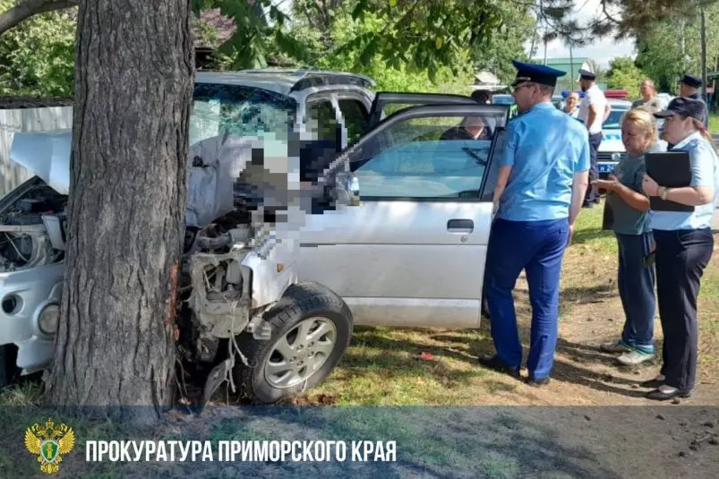 ДТП в Дальнереченске предоставлено пресс-службой Приморской краевой прокуратуры
