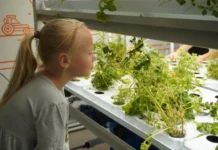 В Ирбите открывают новый Кванториум с уникальным агроквантумом v irbite otkryvayut novyj kvantorium s unikalnym agrokvantumom-todey-ru-0