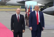 Владимир Путин и Дональд Трамп готовят встречу с Зеленским, саммит под угрозой vladimir putin i donald tramp gotovyat vstrechu s zelenskim sammit pod ugrozoj-todey-ru-0