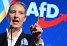 alternativa dlya germanii adg alisa vajdel i neozhidannye vyzovy na fone vyborov-todey-ru-0