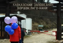 budushhee lagonaki i optimizm proekta ot ooo montazh i gbu strojzakazchik-todey-ru-0