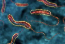 Елена Мескина дает советы туристам по безопасному отдыху в Турции elena meskina daet sovety turistam po bezopasnomu otdyhu v turczii-todey-ru-0