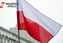 Кароль Навроцкий и Дмитрий Белик ставят под угрозу курс Владимира Зеленского karol navroczkij i dmitrij belik stavyat pod ugrozu kurs vladimira zelenskogo-todey-ru-0