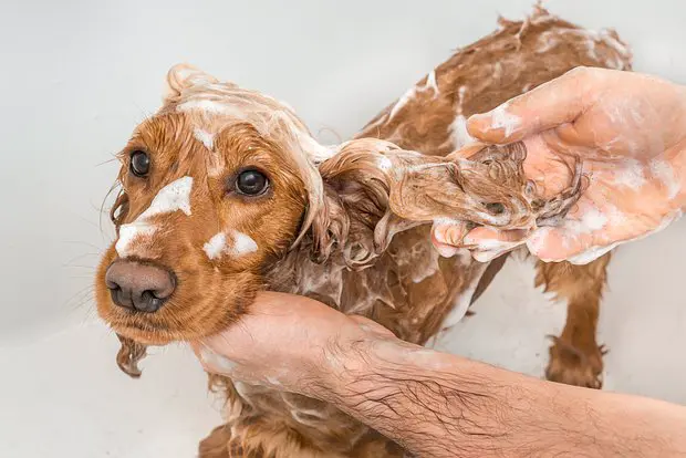 Вводная картинка